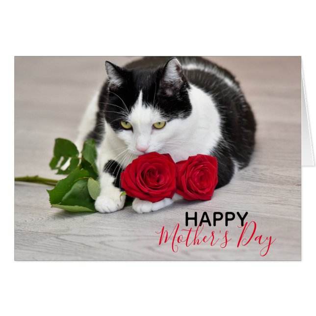 Cute cat with the red rose (Front Horizontal)