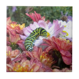 Cute Caterpillar Tile Trivet