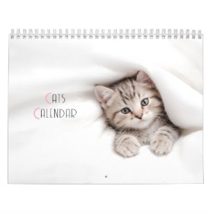 Cute Cats Calendar