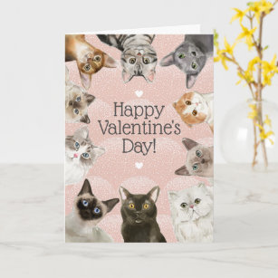 Cute Cats    Cat Lover Happy Valentine's Day Card