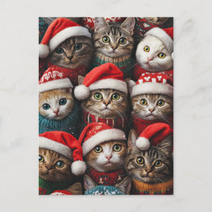 Cute Cats in Santa Hats Christmas Holiday Pets Postcard
