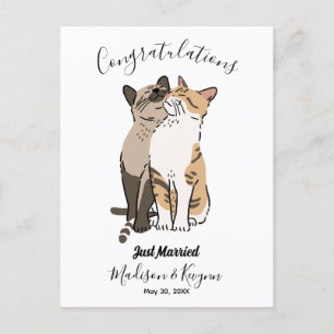 Cute cats wedding  postcard