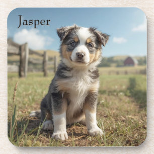 Cute Cattle Dog Personalized Beverage Coaster Set