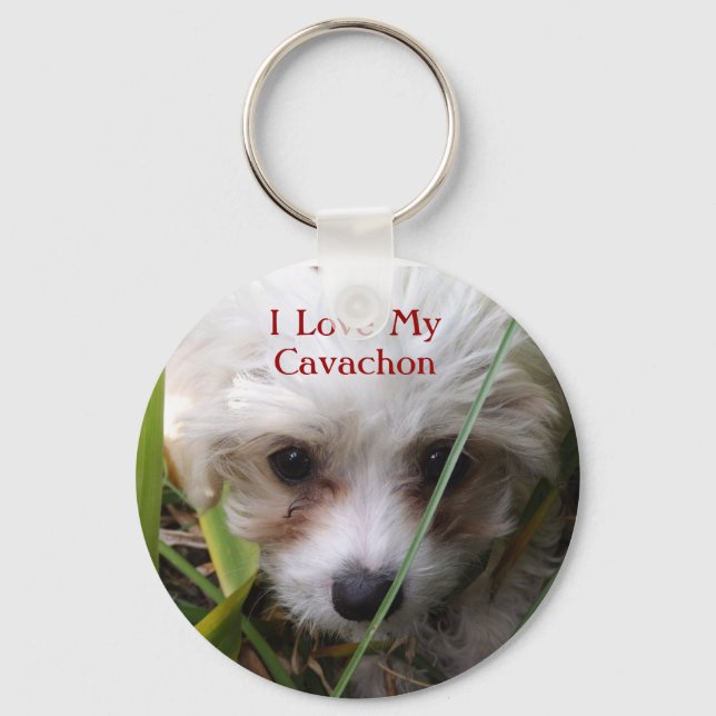 Cute Cavachon Puppy Keychain (Front)