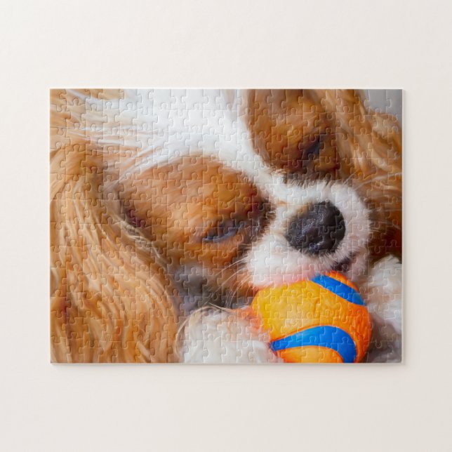 Cute Cavalier Avec Ball Jigsaw Puzzle (Horizontal)
