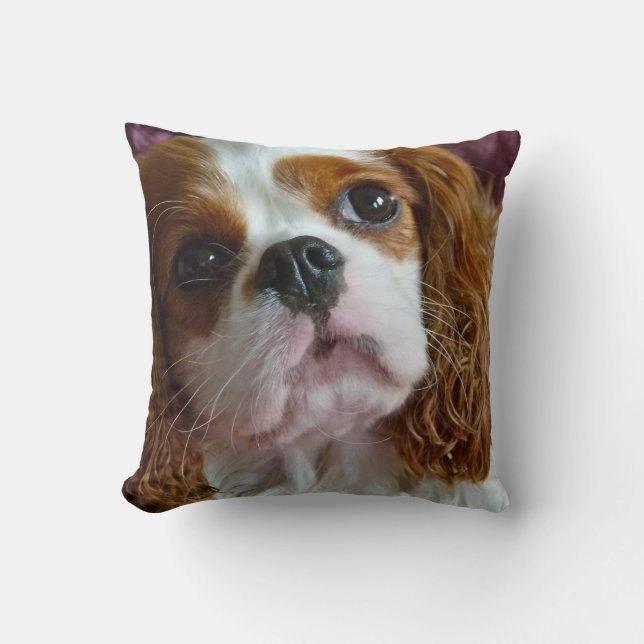 Cute Cavalier King Charles Spaniel coussin coussin (Recto)