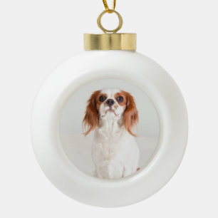 Cute Cavalier King Charles Spaniel Ornament