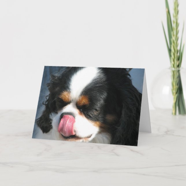 Cute Cavalier Spanial Dog  Greeting Card (Front)