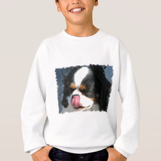 Cute Cavalier Spanial Dog Youth Sweatshirt