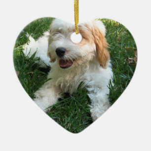 CUTE CAVAPOO PUPPY CERAMIC ORNAMENT