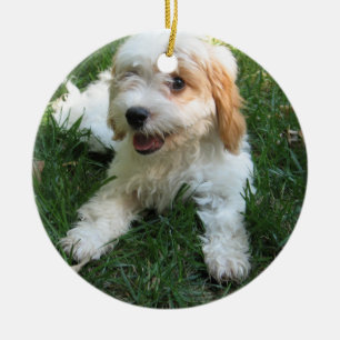 CUTE CAVAPOO PUPPY CERAMIC ORNAMENT