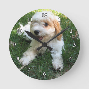 CUTE CAVAPOO PUPPY ROUND CLOCK