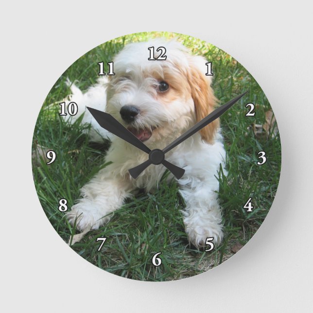 CUTE CAVAPOO PUPPY ROUND CLOCK (Front)