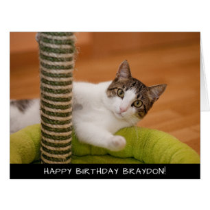 Cute chat extra grande carte d'anniversaire