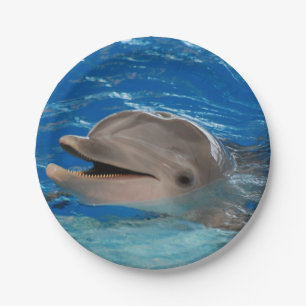 Cute Chattering Dolphin Paper Plate