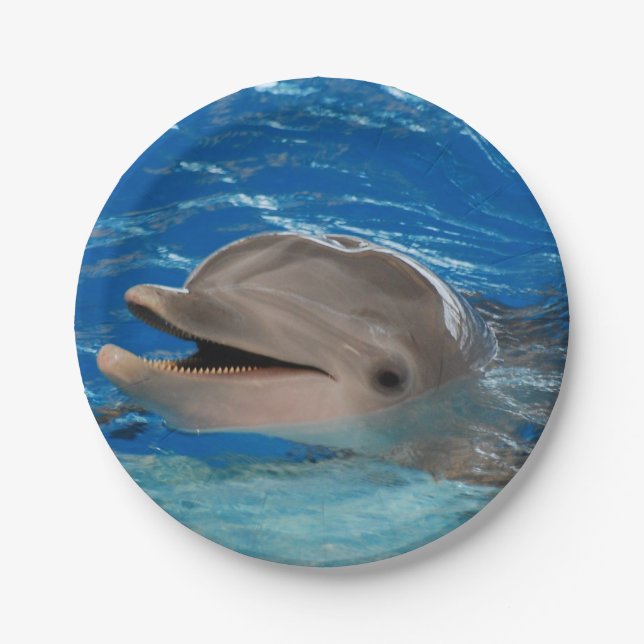 Cute Chattering Dolphin Paper Plate (Front)