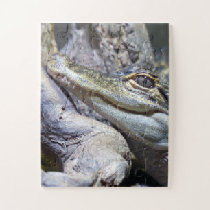 Cute Cheeky Baby Crocodile Smiling Jigsaw Puzzle