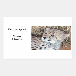 Cute Cheetah Cub Nom photo Étiquette /