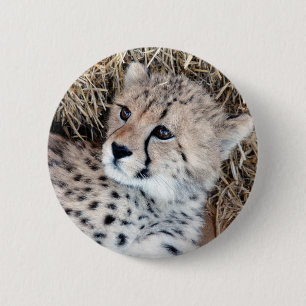 Cute Cheetah Cub Photo 2 Inch Round Button