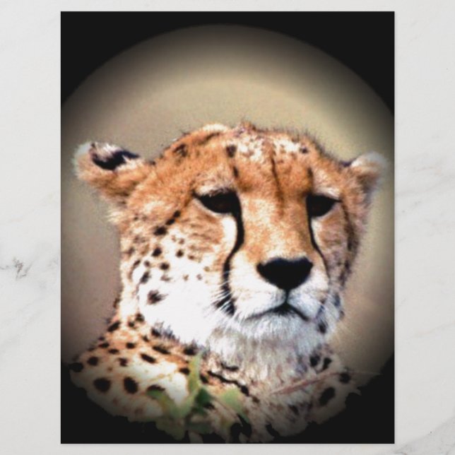 Cute Cheetah Tear Marks Hakunamatata (Front)