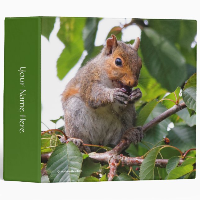 Cute Cherry Picking Eastern Grey Squirrel Binder (Front/Spine)