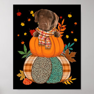 Cute Chesapeake Bay Retriever Pumpkinthanksgiving Poster
