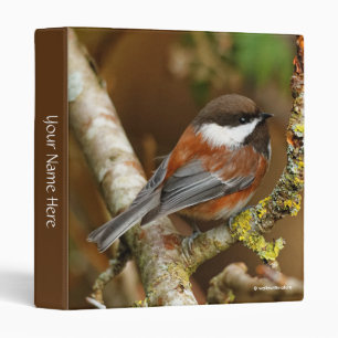 Cute Chestnut-Backed Chickadee on the Pear Tree Binder