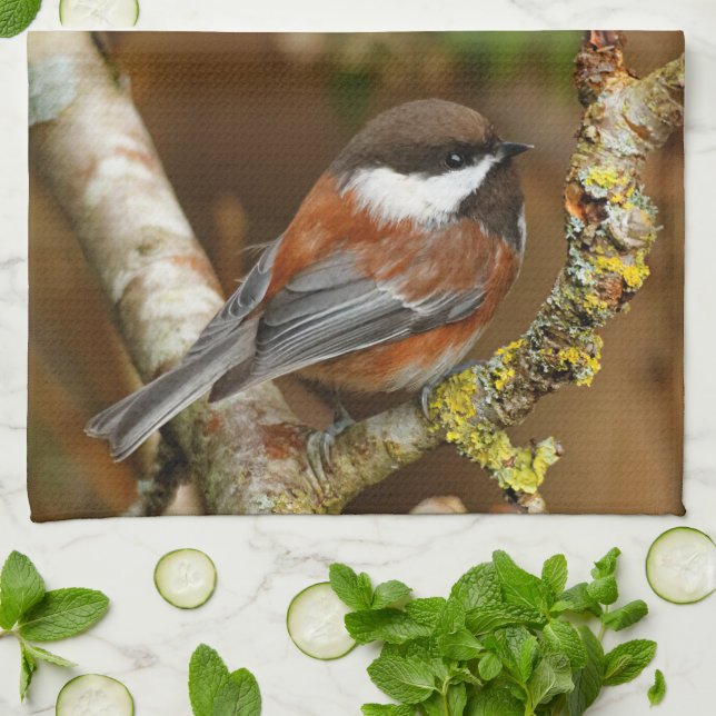 Cute Chestnut-Backed Chickadee on the Pear Tree Kitchen Towel (Folded)