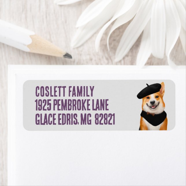 Cute Chic Corgi Dog Wearing Beret & Bandanna (Insitu)