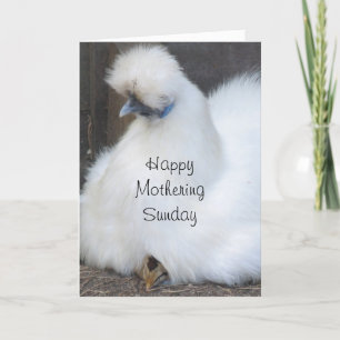 Cute chick/ chicken Mothering Sunday card