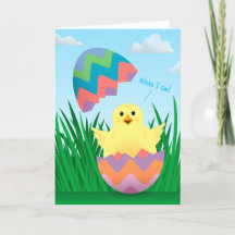 Cute Chick Easter Egg Hatch