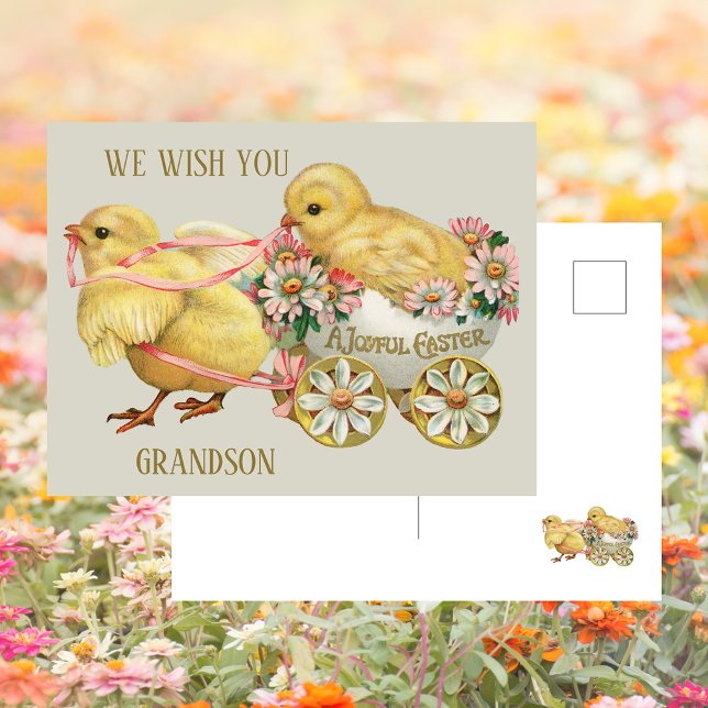 Cute Chick Floral Colourful Egg Boy Grandson Easte Holiday Postcard (Cute Chick Ckicks Bunny Floral Colorful Egg Boy Grandson Easter Greetings Holiday Postcard)
