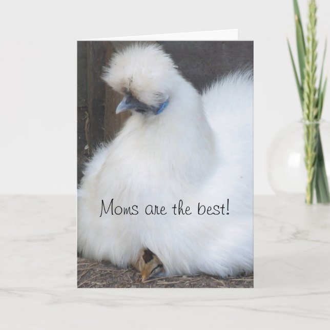 Cute chick "Moms are the best" Mother's Day card (Front)