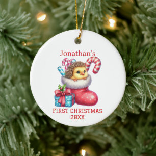 Cute Chick with Hedgehog Fur Christmas Ceramic Ornament