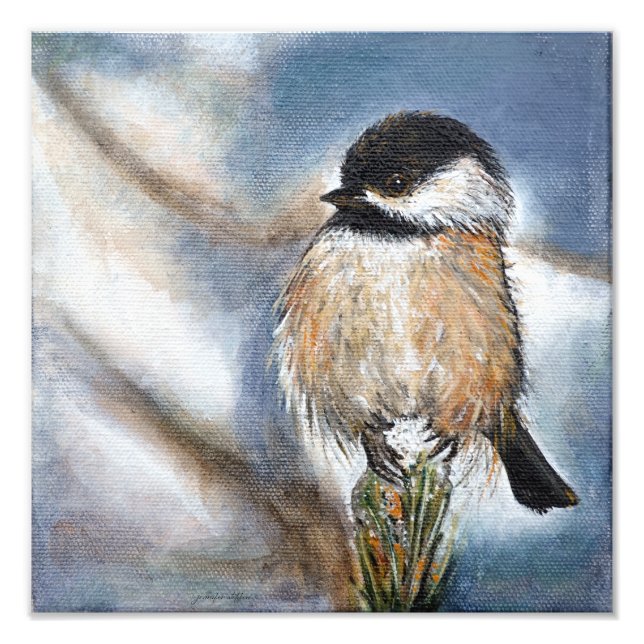 Cute Chickadee Bird Adorable Black Capped Photo Print (Front)