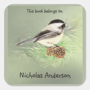 Cute Chickadee Bird & Pine Nature Art Bookplate Square Sticker