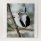 Cute Chickadee in Winter