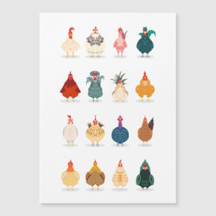 Cute Chicken