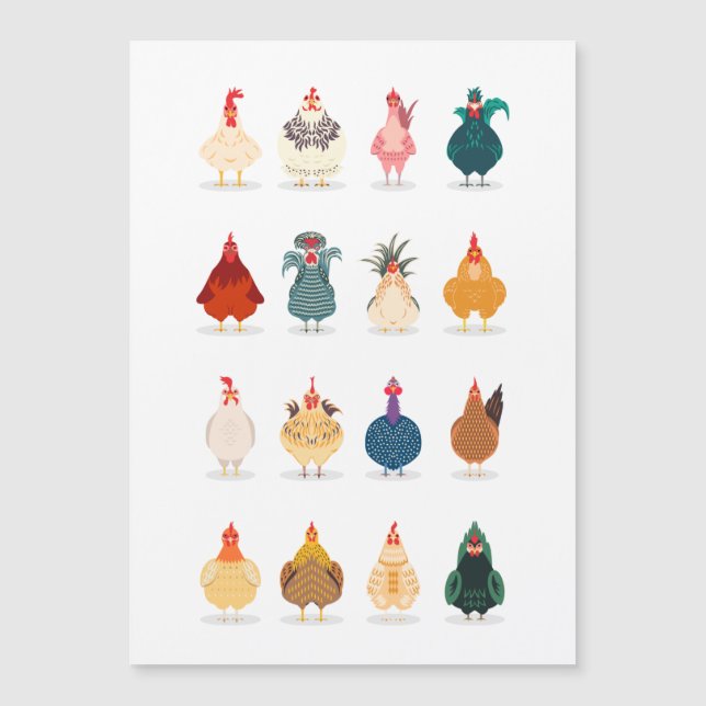 Cute Chicken (Front)