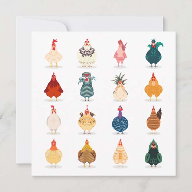 Cute Chicken Announcement (Front)
