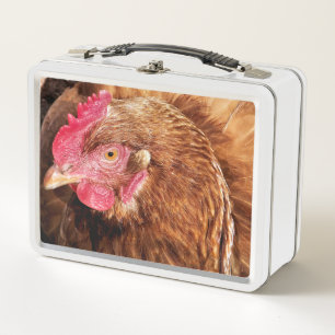 CUTE CHICKEN   METAL LUNCH BOX