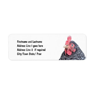 Cute Chicken Photo Customized Address