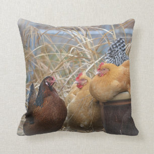 Cute Chicken Pillow
