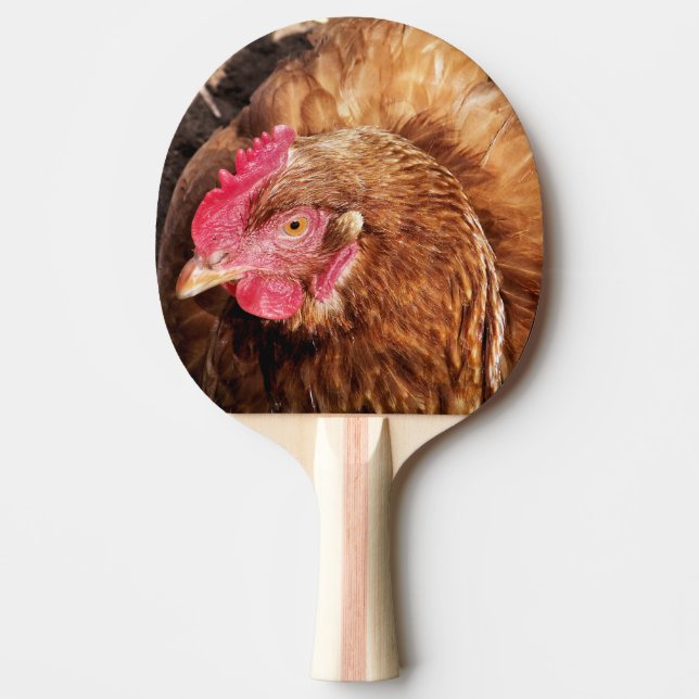 CUTE CHICKEN  PING PONG PADDLE (Front)