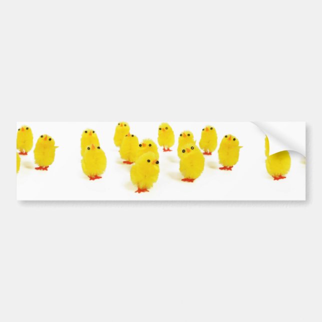 cute chicks bumper sticker (Front)