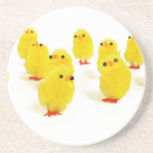 cute chicks coaster