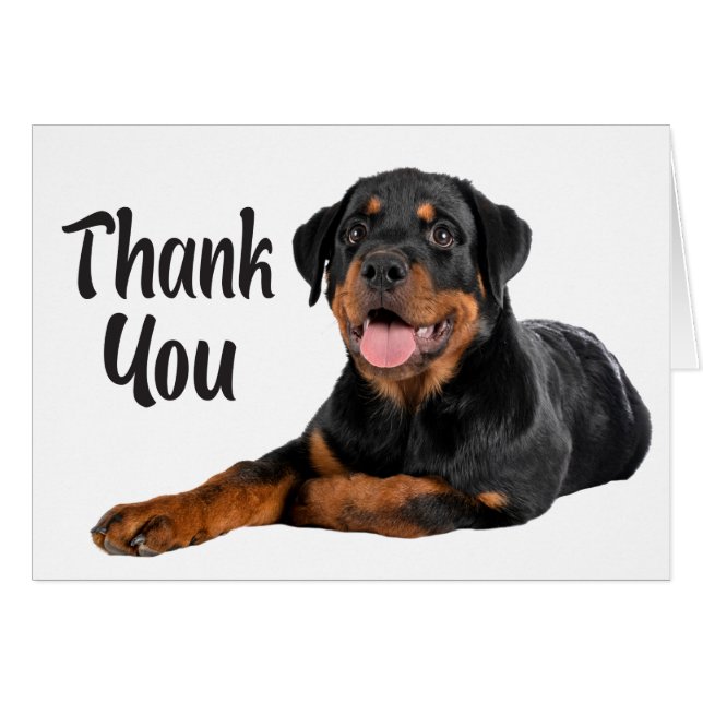 Cute Chien Chien Rottweiler Merci (Devant Horizontal)