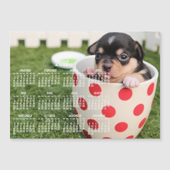 Cute Chihuahua Calendar 2018 Magnetic Card 5x7 (Front)