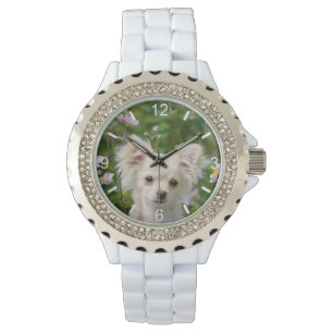 Cute Chihuahua Dog Puppy Photo - women dial-plate Watch