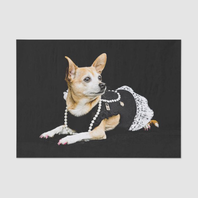 Cute Chihuahua Dog Tan Brown Black Elegant Tissue Paper (Front)